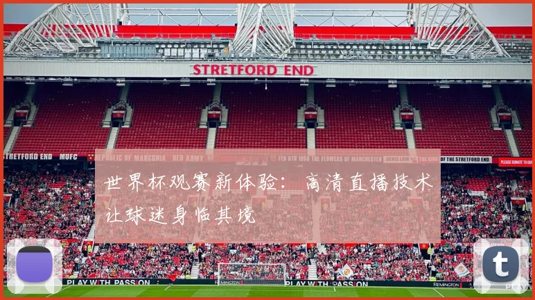 世界杯观赛新体验：高清直播技术让球迷身临其境