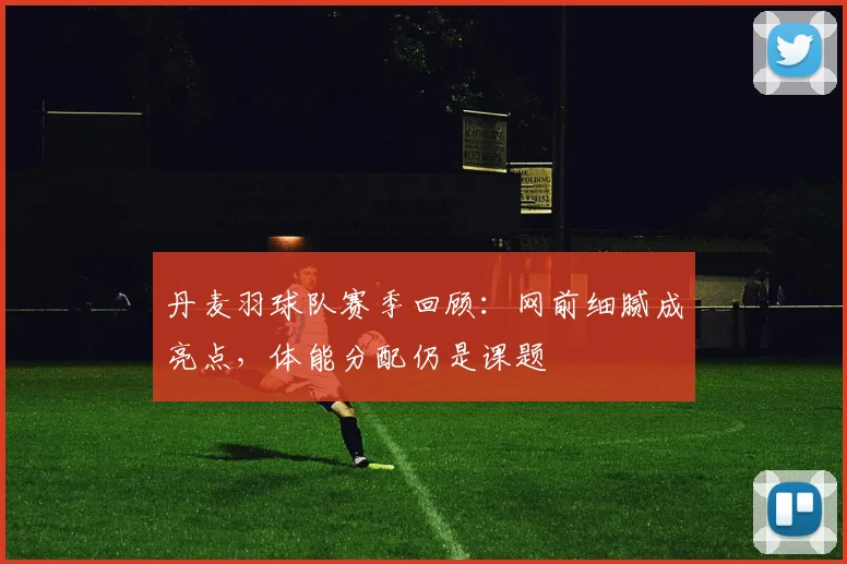 丹麦羽球队赛季回顾：网前细腻成亮点，体能分配仍是课题